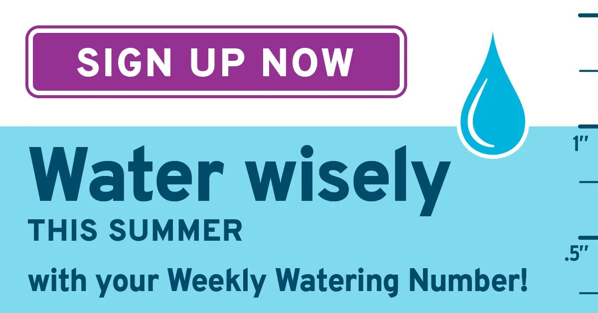 Sign up now! Water wisely this summer with your Weekly Watering Number