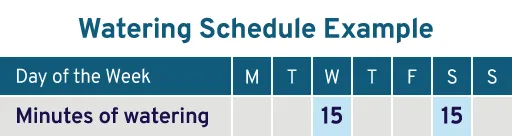 Watering schedule example: 15 minutes of watering on Wednesday and 15 minutes of watering on Saturday