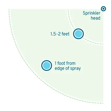 Illustration of where to place watering gauges to measure your sprinklers' water use: one should be 1.2-2 feet from the sprinkler and the other should be about 1 foot from the edge of the spray