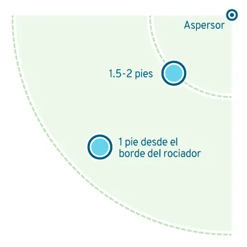 Illustration of where to place watering gauges to measure your sprinklers' water use: one should be 1.2-2 feet from the sprinkler and the other should be about 1 foot from the edge of the spray