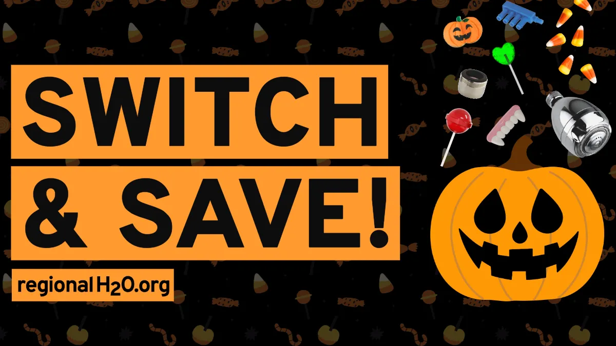 Illustration of a pumpkin cut into a jack-o-lantern with candy and water-saving devices raining down around it next to text, “switch &amp; save! regionalH2O.org”