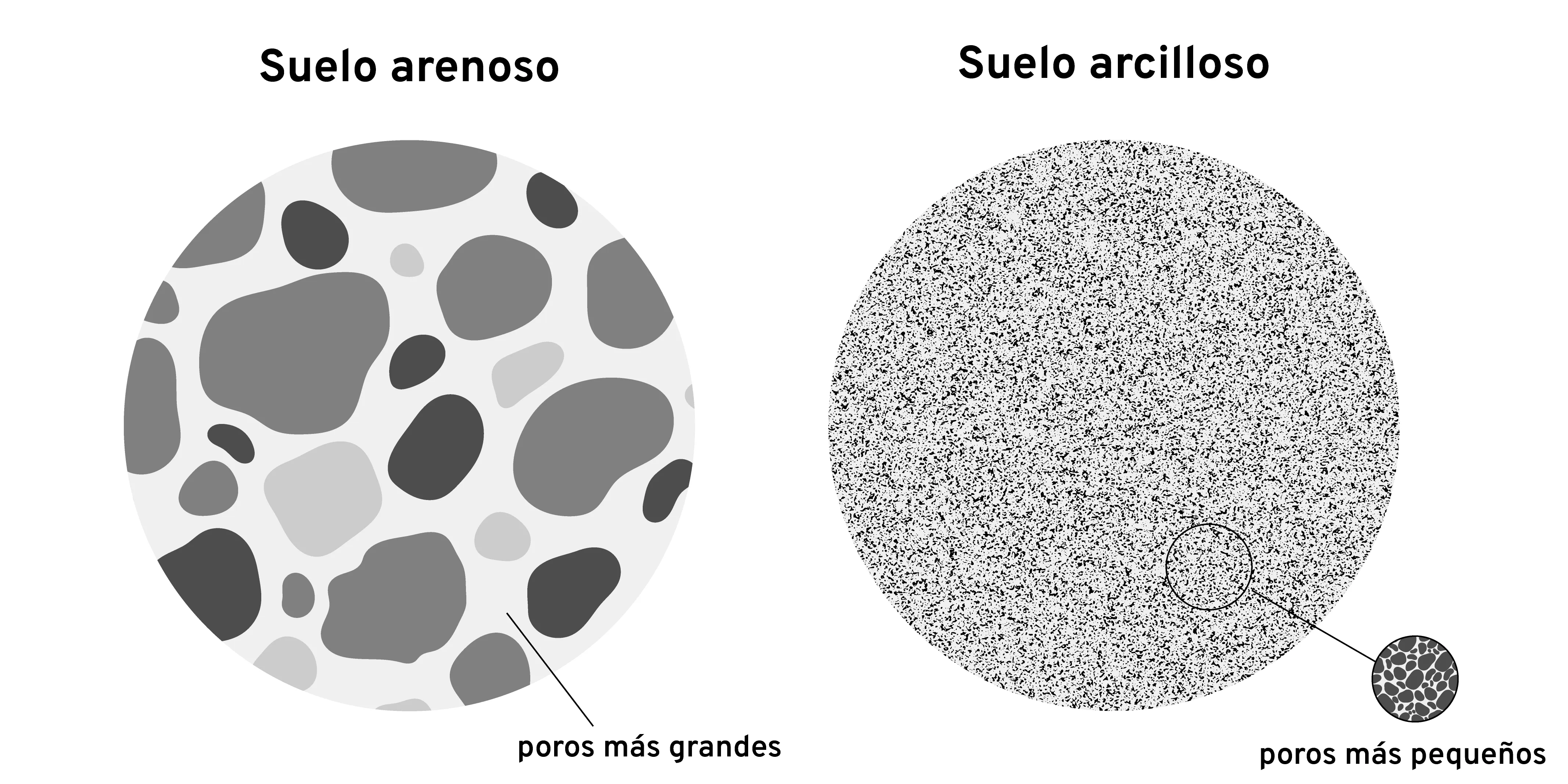 Diagrama que compara los tipos de suelo arenoso y arcilloso.