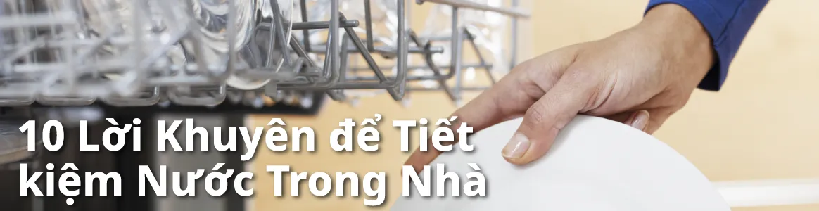 Ảnh chụp một người đang đặt đĩa vào máy rửa chén, đĩa