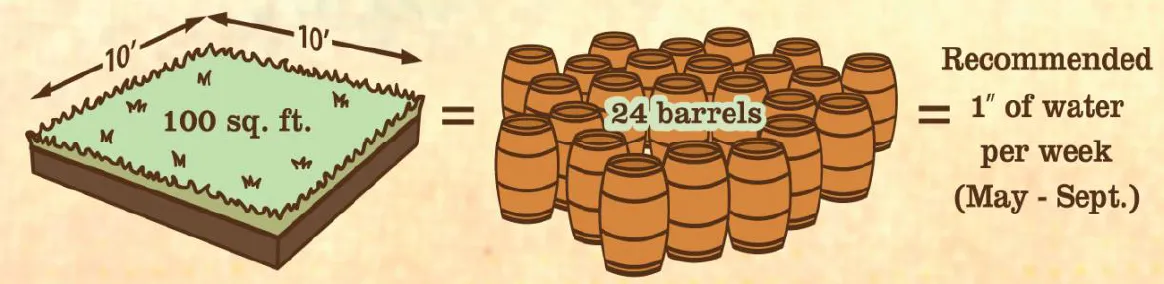 24 rain barrels are needed to water a 10' x 10' patch of grass