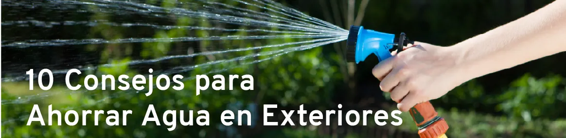 10 Consejos para Ahorrar Agua en Exteriores