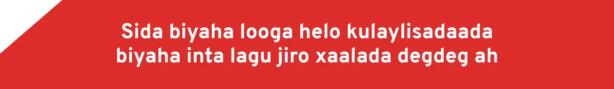 Sida biyaha looga helo kulaylisadaada biyaha inta lagu jiro xaalada degdeg ah