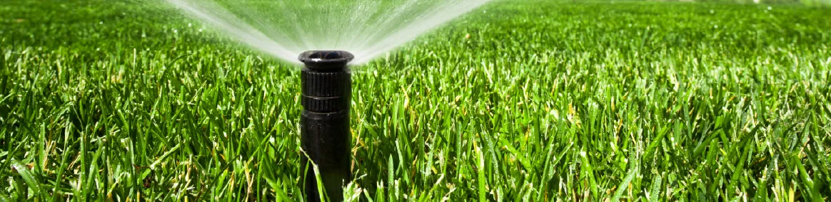 sprinkler watering a lawn