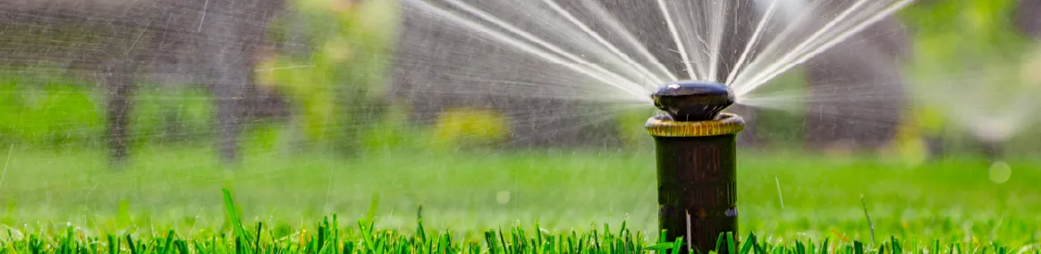 close-up photograph of a sprinkler watering a lush, green lawn
