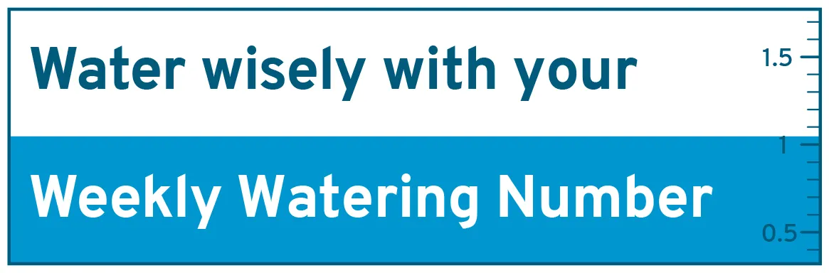 Water wisely with your Weekly Watering Number