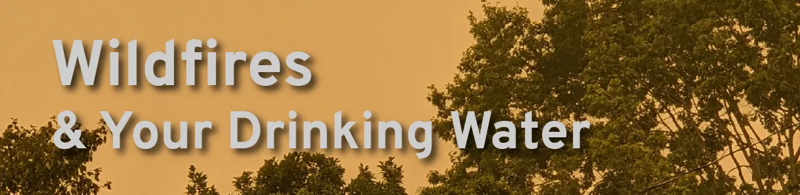 Wildfires & Your Drinking Water