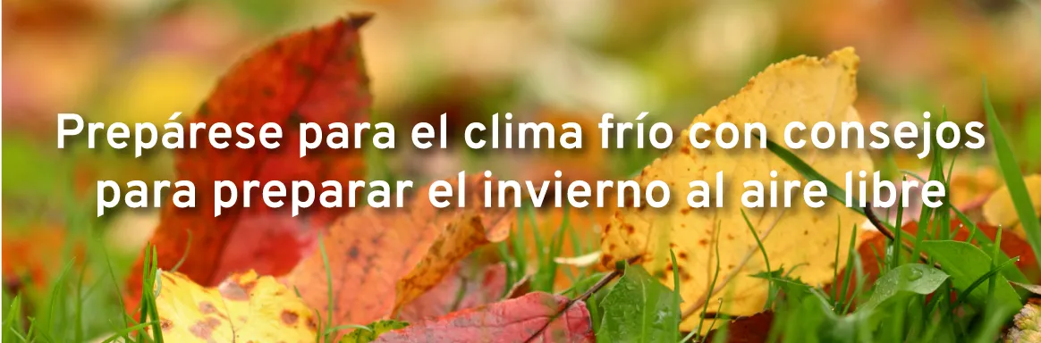 Prepárese para el clima frío con consejos para preparar el invierno al aire libre
