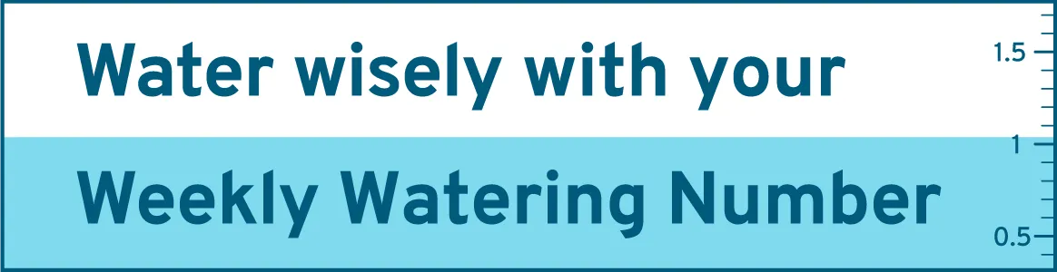 Water wisely with the Weekly Watering Number