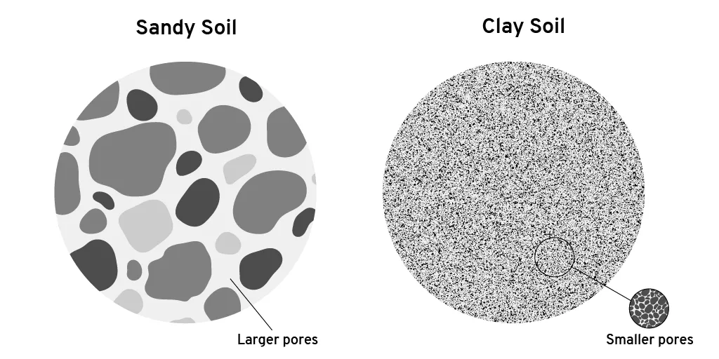 Diagram of sandy versus clay soil types comparing the sizes of the particles and pores between the two.